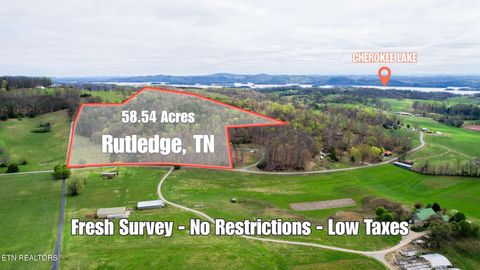 58.5 Acres Greenlee Rd Rutledge TN 37861