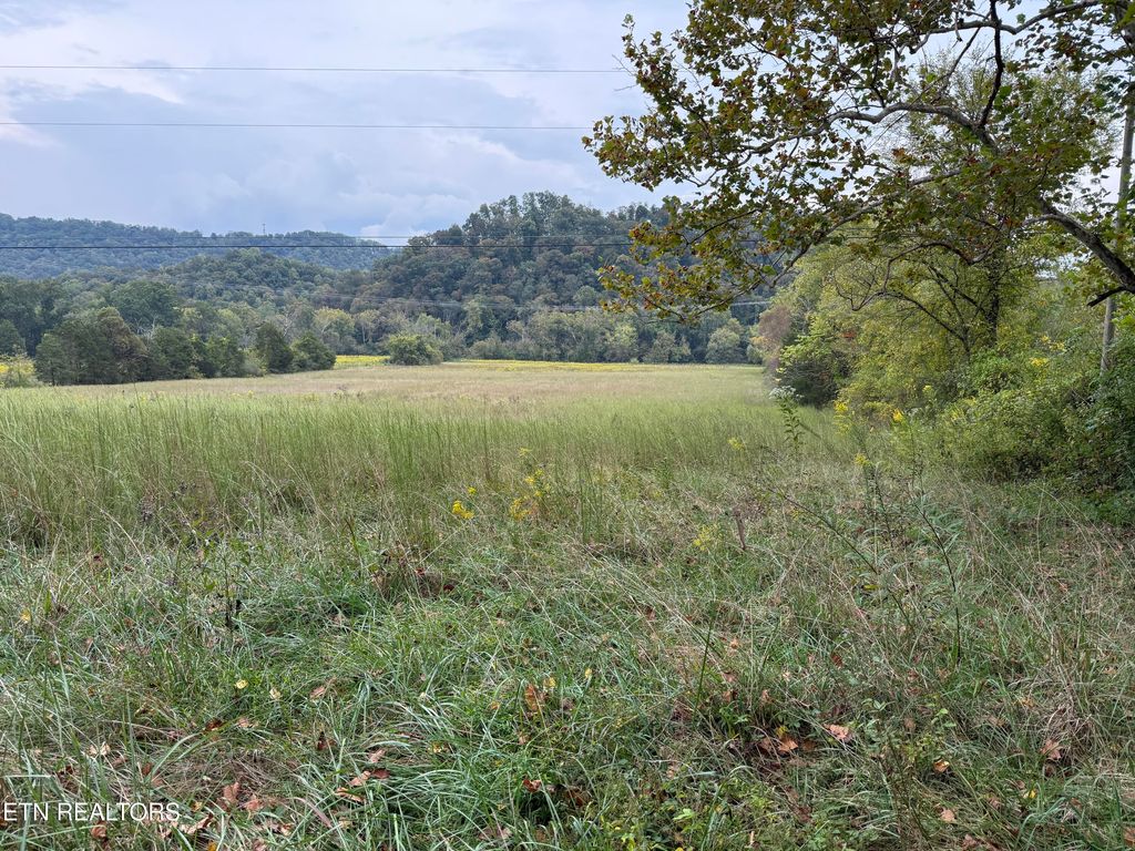 Photo of 9529 Pedigo Rd Rd, Powell, TN 37849 (MLS # 1317527)
