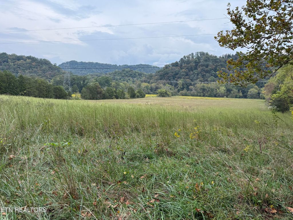 Photo of 9529 Pedigo Rd Rd, Powell, TN 37849 (MLS # 1317527)