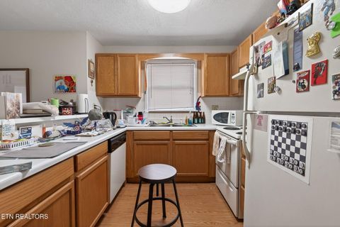 Tiny photo for 308 E Scott Ave, Knoxville, TN 37917 (MLS # 1325095)