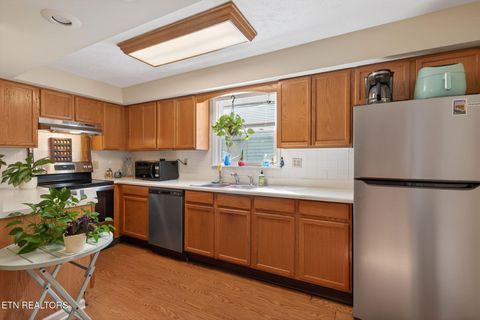 Tiny photo for 308 E Scott Ave, Knoxville, TN 37917 (MLS # 1325095)