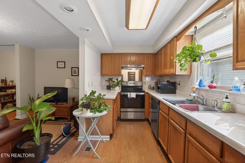 Tiny photo for 308 E Scott Ave, Knoxville, TN 37917 (MLS # 1325095)