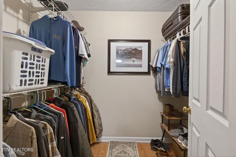 Tiny photo for 308 E Scott Ave, Knoxville, TN 37917 (MLS # 1325095)