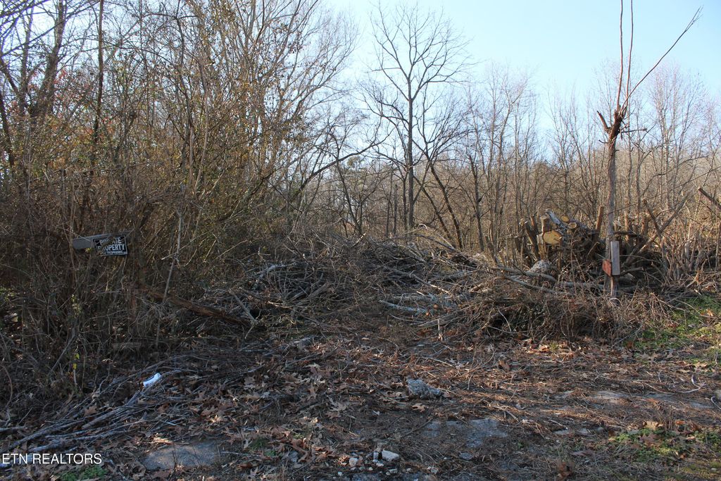 Photo of N N Point Rd, Sweetwater, TN 37874 (MLS # 1288314)