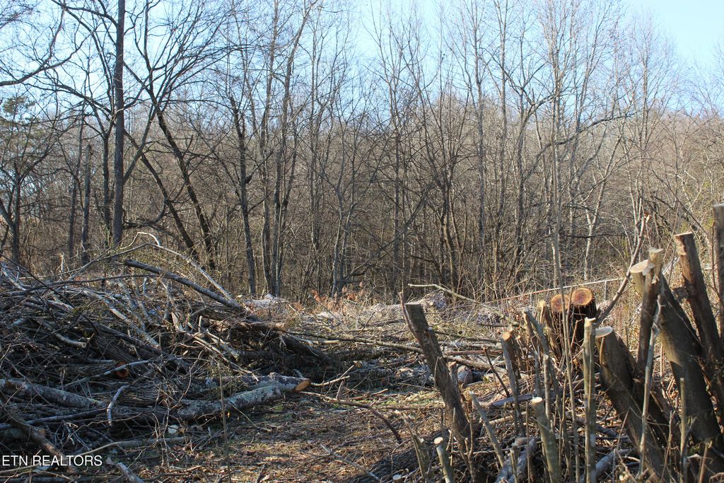 Photo of N N Point Rd, Sweetwater, TN 37874 (MLS # 1288314)