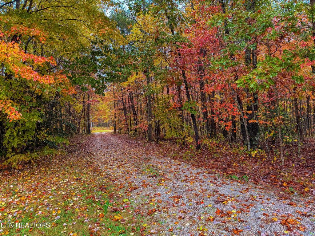 Photo of 625 Scarlet Oaks Drive, Jamestown, TN 38556 (MLS # 1320309)