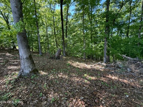 Tiny photo for Gravelly Hills/Forrest Ridge, Louisville, TN 37777 (MLS # 1338144)