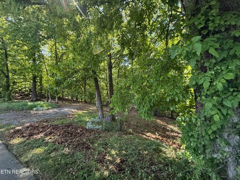 Tiny photo for Gravelly Hills/Forrest Ridge, Louisville, TN 37777 (MLS # 1338144)