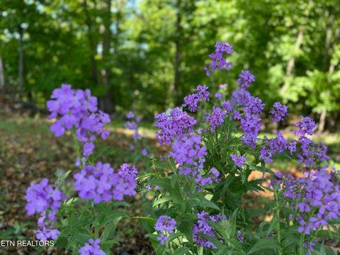 Tiny photo for Gravelly Hills/Forrest Ridge, Louisville, TN 37777 (MLS # 1338144)