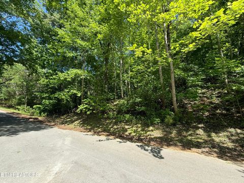 Tiny photo for Gravelly Hills/Forrest Ridge, Louisville, TN 37777 (MLS # 1338144)