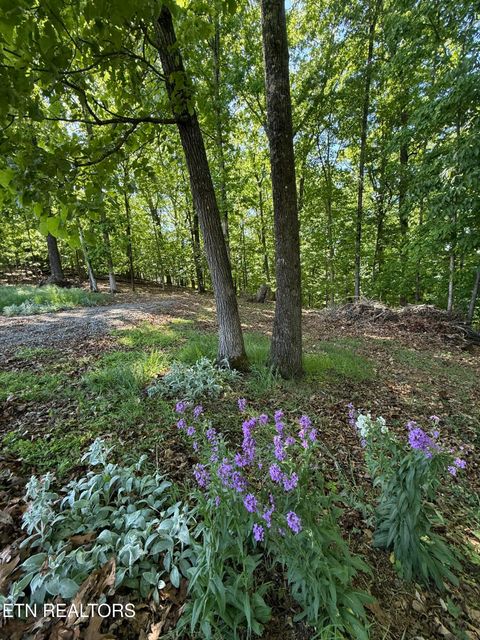 Tiny photo for Gravelly Hills/Forrest Ridge, Louisville, TN 37777 (MLS # 1338144)