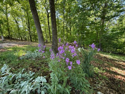 Tiny photo for Gravelly Hills/Forrest Ridge, Louisville, TN 37777 (MLS # 1338144)