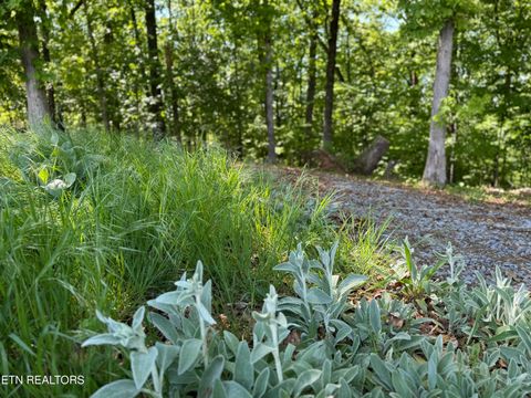 Tiny photo for Gravelly Hills/Forrest Ridge, Louisville, TN 37777 (MLS # 1338144)