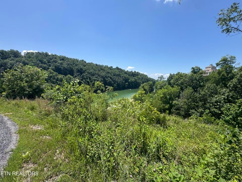 Tiny photo for 30 Stone Shore Way, Dandridge, TN 37725 (MLS # 1346844)