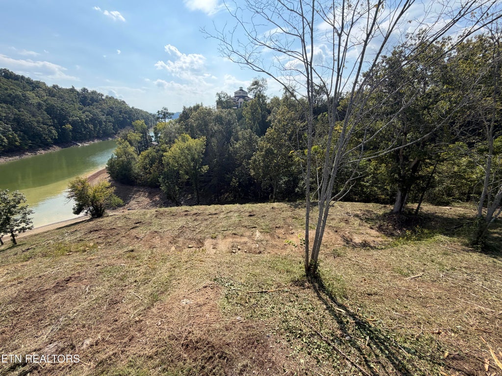Photo of 30 Stone Shore Way, Dandridge, TN 37725 (MLS # 1346844)