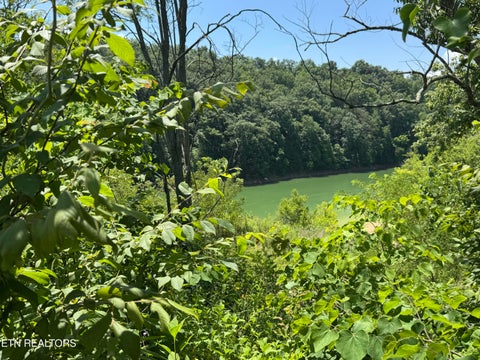 Tiny photo for 30 Stone Shore Way, Dandridge, TN 37725 (MLS # 1346844)