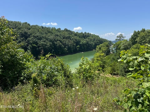 Tiny photo for 30 Stone Shore Way, Dandridge, TN 37725 (MLS # 1346844)