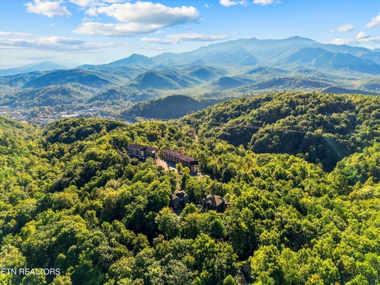 838 HOLLY BRANCH DR, GATLINBURG, TN 37738 - Image 2b7f4cda9eae9d1c4614e3dbabccfdd7/2890224535