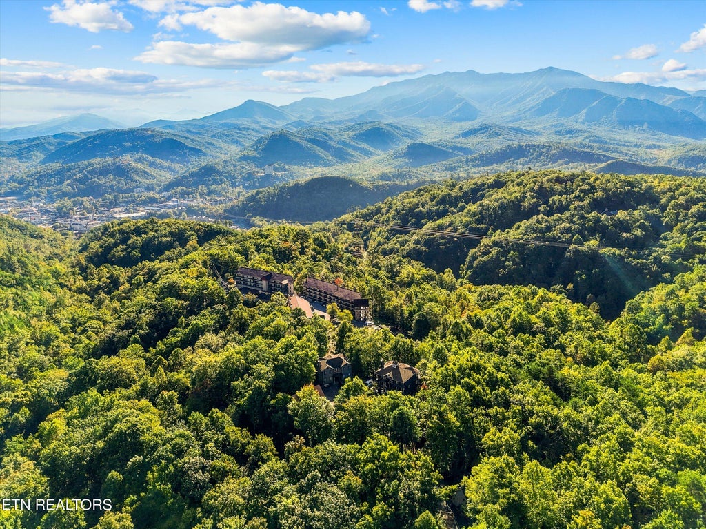 Photo of 838 Holly Branch Rd, Gatlinburg, TN 37738 (MLS # 1358110)