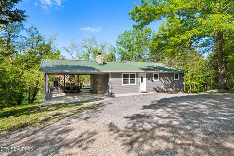 183 Shelby Loop New Tazewell TN 37825