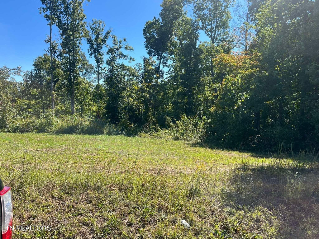 Photo of Brewstertown Rd, Robbins, TN 37852 (MLS # 1357094)