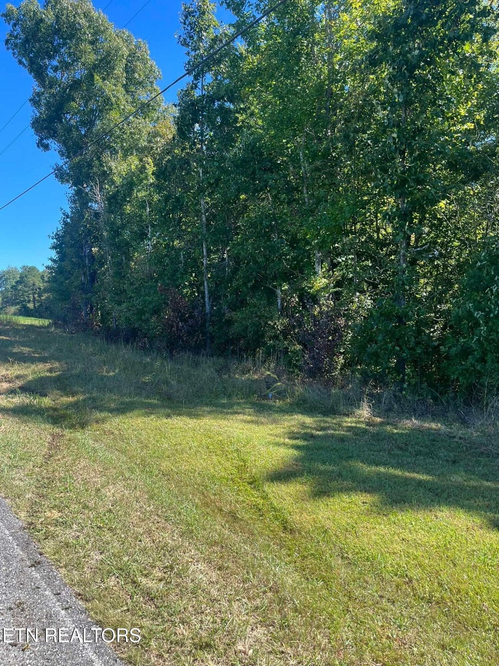 Photo of Brewstertown Rd, Robbins, TN 37852 (MLS # 1357094)