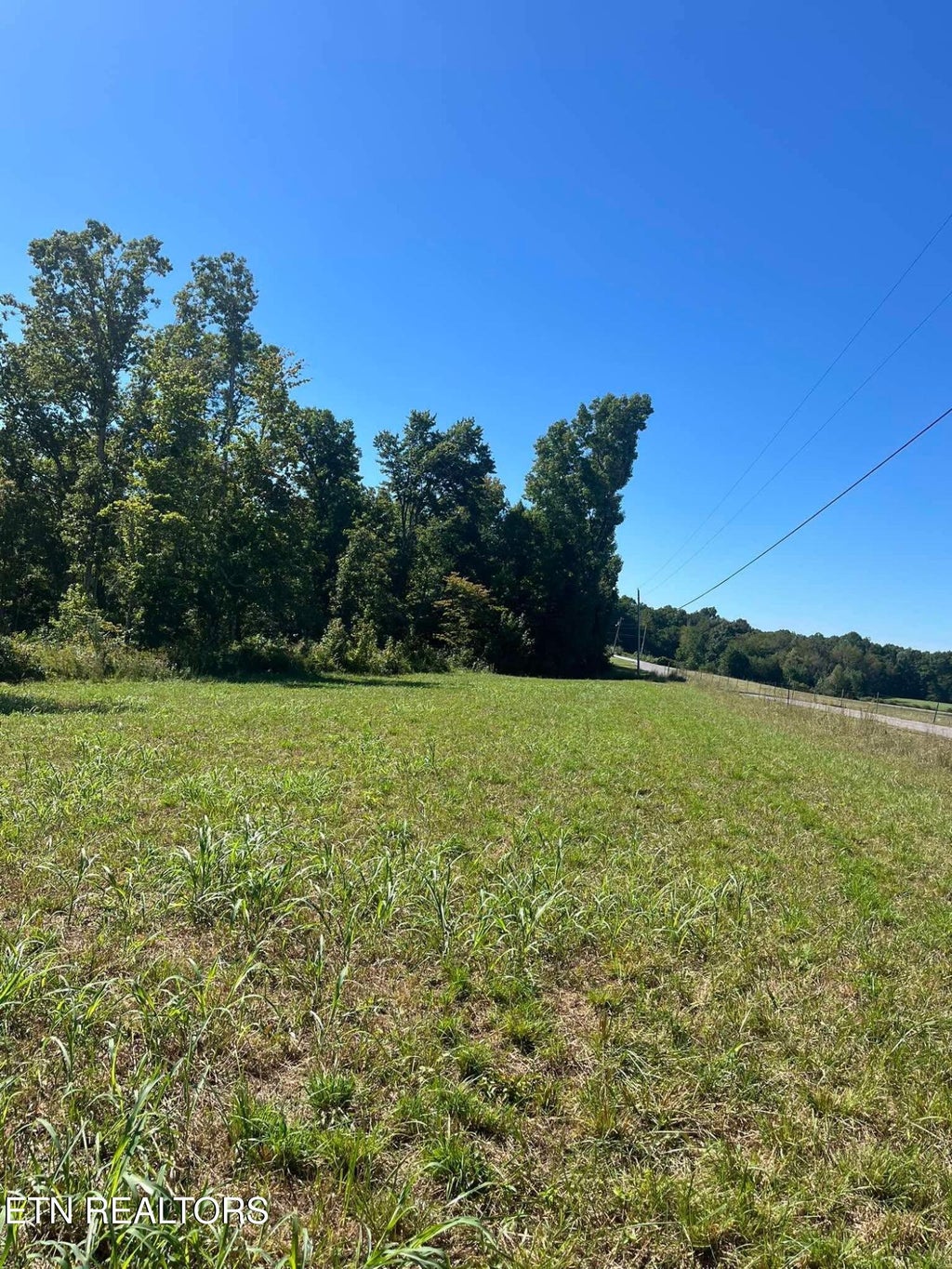 Photo of Brewstertown Rd, Robbins, TN 37852 (MLS # 1357094)