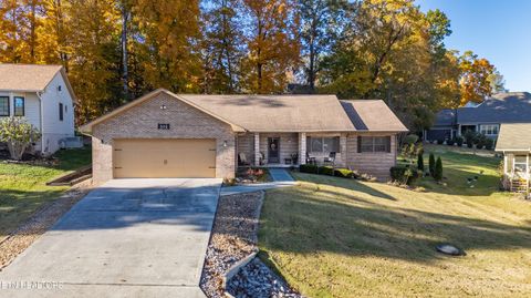 Photo of 301 Cheestana Way, Loudon, TN 37774 (MLS # 1321855)