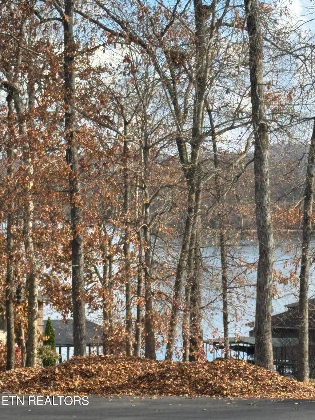 Photo of 301 Cheestana Way, Loudon, TN 37774 (MLS # 1321855)