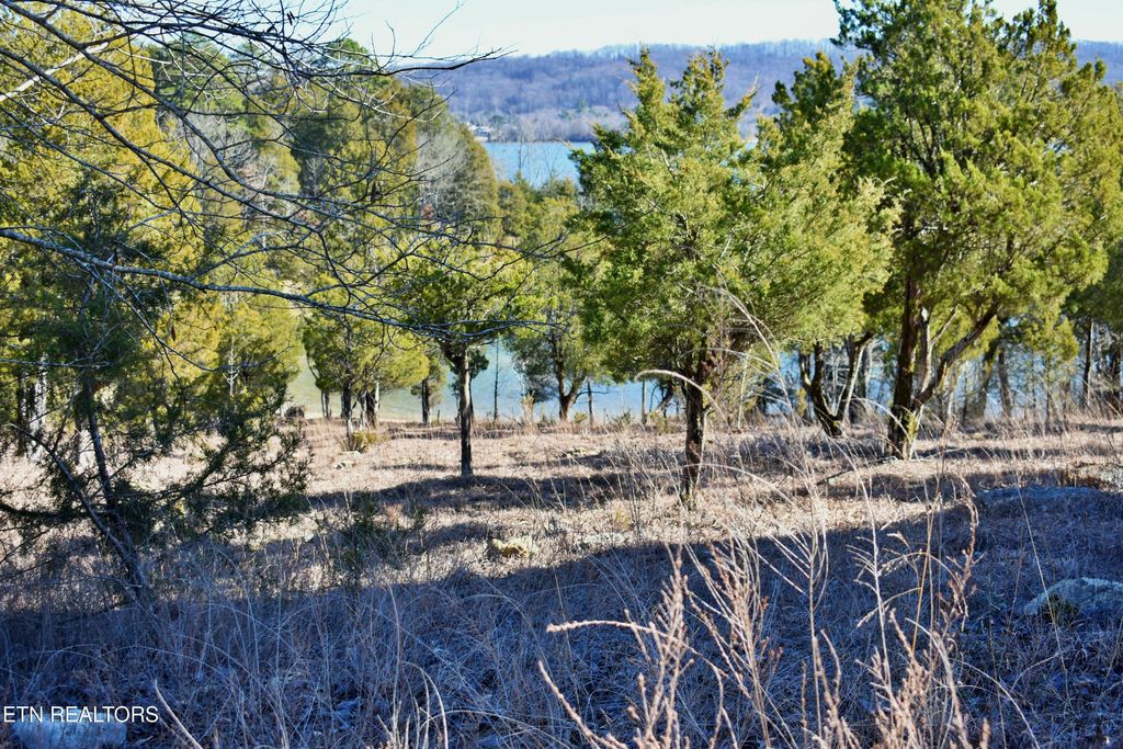 Photo of 105 E Shore Drive, Rockwood, TN 37854 (MLS # 1288554)