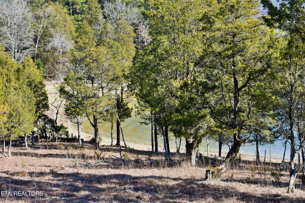 Photo of 105 E Shore Drive, Rockwood, TN 37854 (MLS # 1288554)