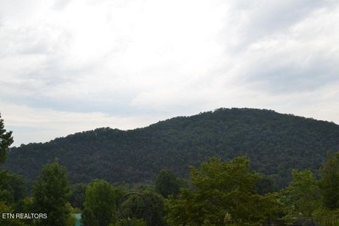 Tiny photo for Highway 73 Lot 79/80, Townsend, TN 37882 (MLS # 1310741)