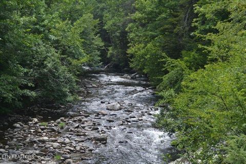 Tiny photo for Highway 73 Lot 79/80, Townsend, TN 37882 (MLS # 1310741)