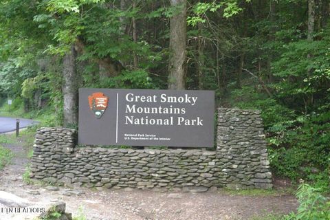 Tiny photo for Highway 73 Lot 79/80, Townsend, TN 37882 (MLS # 1310741)