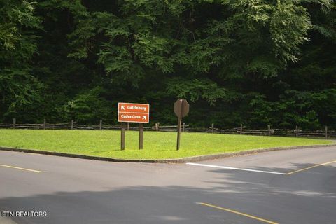 Tiny photo for Highway 73 Lot 79/80, Townsend, TN 37882 (MLS # 1310741)