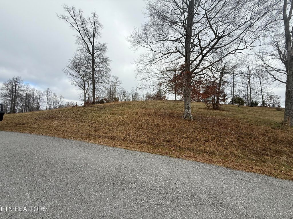 Photo of 30 Oak Point Drive, Jonesville, VA 24263 (MLS # 1323502)