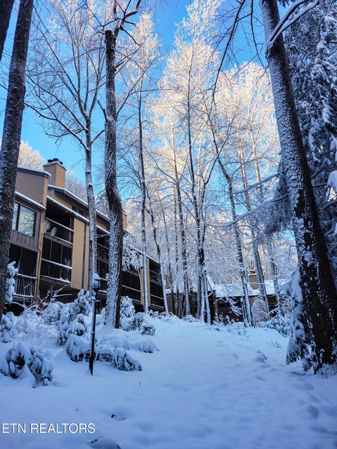Tiny photo for 1235 Ski Mountain Rd #APT 610, Gatlinburg, TN 37738 (MLS # 1357316)