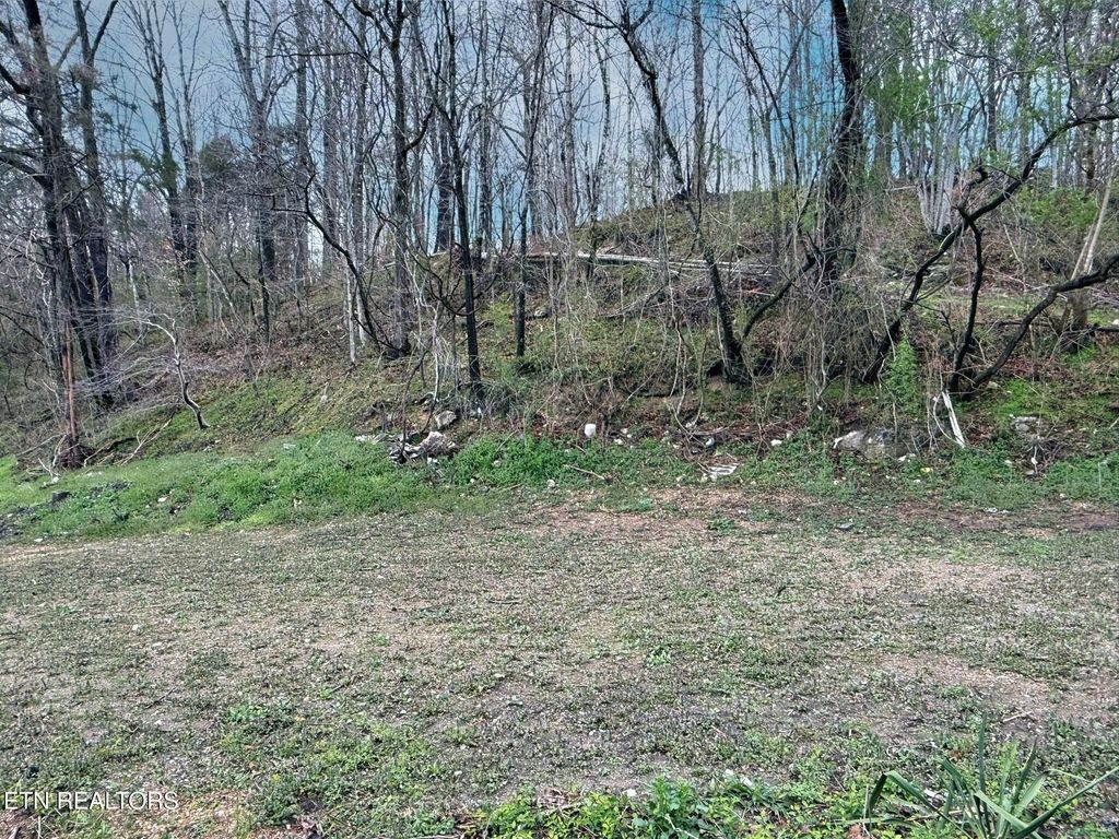 Photo of Cave Springs Rd, LaFollette, TN 37766 (MLS # 1332865)