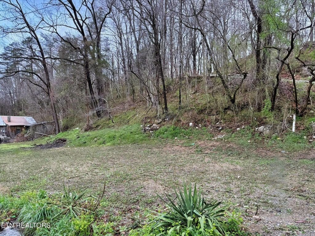 Photo of Cave Springs Rd, LaFollette, TN 37766 (MLS # 1332865)
