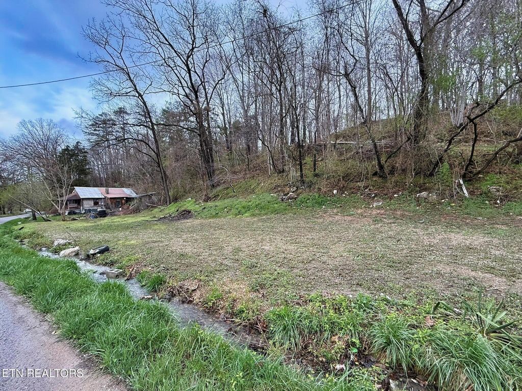 Photo of Cave Springs Rd, LaFollette, TN 37766 (MLS # 1332865)
