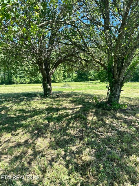 Photo of 3169 Hinds Creek Rd, Heiskell, TN 37754 (MLS # 1342284)