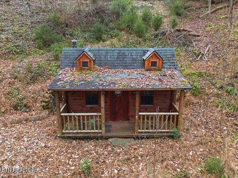 Tiny photo for 7474 Evolene Circle, Talbott, TN 37877 (MLS # 1325266)