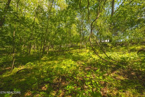 Tiny photo for 491 Magnolia Lane, Sharps Chapel, TN 37866 (MLS # 1338469)