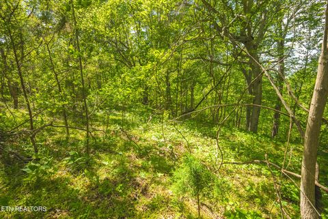 Tiny photo for 491 Magnolia Lane, Sharps Chapel, TN 37866 (MLS # 1338469)
