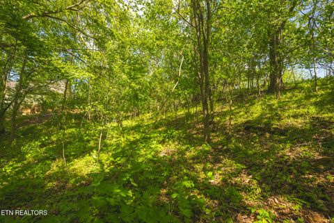 Tiny photo for 491 Magnolia Lane, Sharps Chapel, TN 37866 (MLS # 1338469)