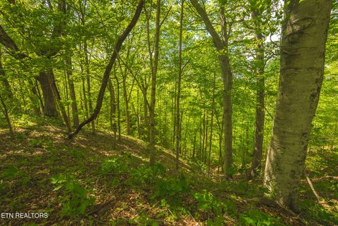 Tiny photo for 491 Magnolia Lane, Sharps Chapel, TN 37866 (MLS # 1338469)