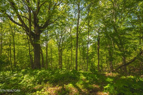 Tiny photo for 491 Magnolia Lane, Sharps Chapel, TN 37866 (MLS # 1338469)