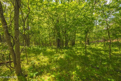 Tiny photo for 491 Magnolia Lane, Sharps Chapel, TN 37866 (MLS # 1338469)