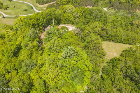 Photo of 491 Magnolia Lane, Sharps Chapel, TN 37866 (MLS # 1338469)