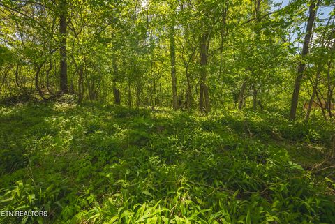 Tiny photo for 491 Magnolia Lane, Sharps Chapel, TN 37866 (MLS # 1338469)